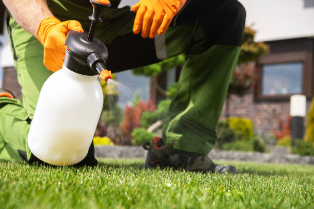 Best Affordable Pest Control Services  in Coquille, OR