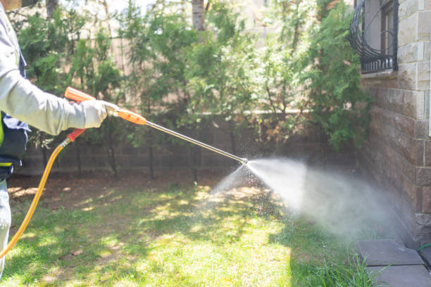 Best Best Pest Control Companies  in Coquille, OR