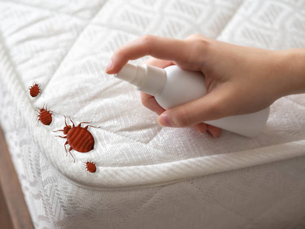 Best Commercial Pest Control Services  in Coquille, OR