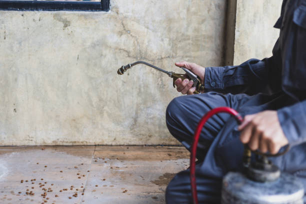 Best Best Pest Control Companies  in Coquille, OR